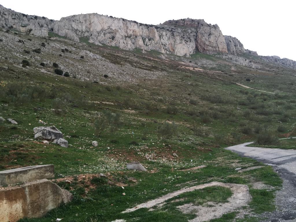 Hotel Antequera Rural Fortes La Nuit Mollina Dış mekan fotoğraf